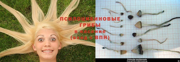 мет Аркадак