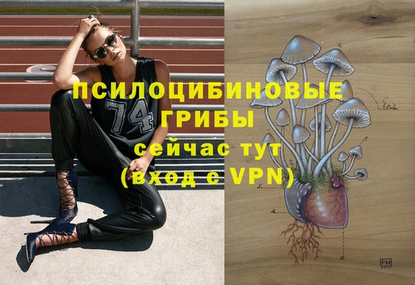 a pvp Баксан
