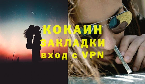 индика Балахна