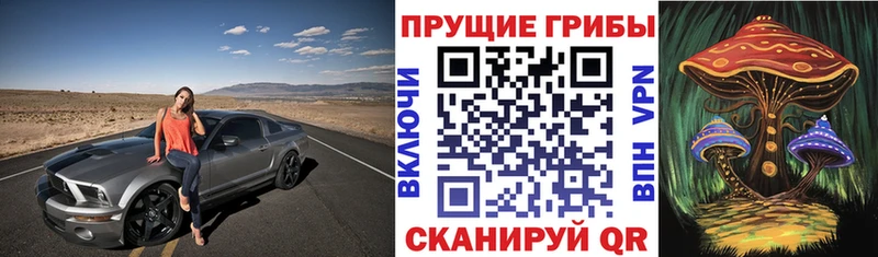 Псилоцибиновые грибы Cubensis  где купить   Скопин 